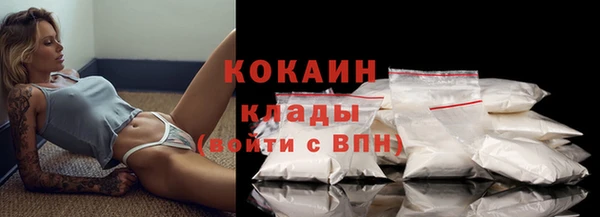 сатива Арсеньев