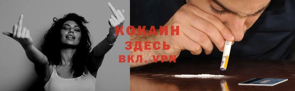 сатива Арсеньев