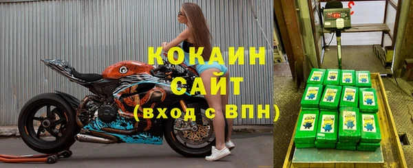сатива Арсеньев