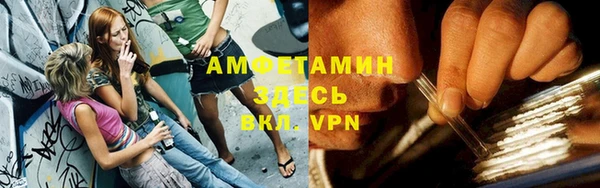 сатива Арсеньев