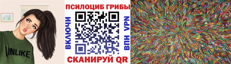 Купить закладки  Валдай  Псилоцибиновые грибы прущие грибы 